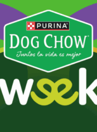 Banner- Página web (10)