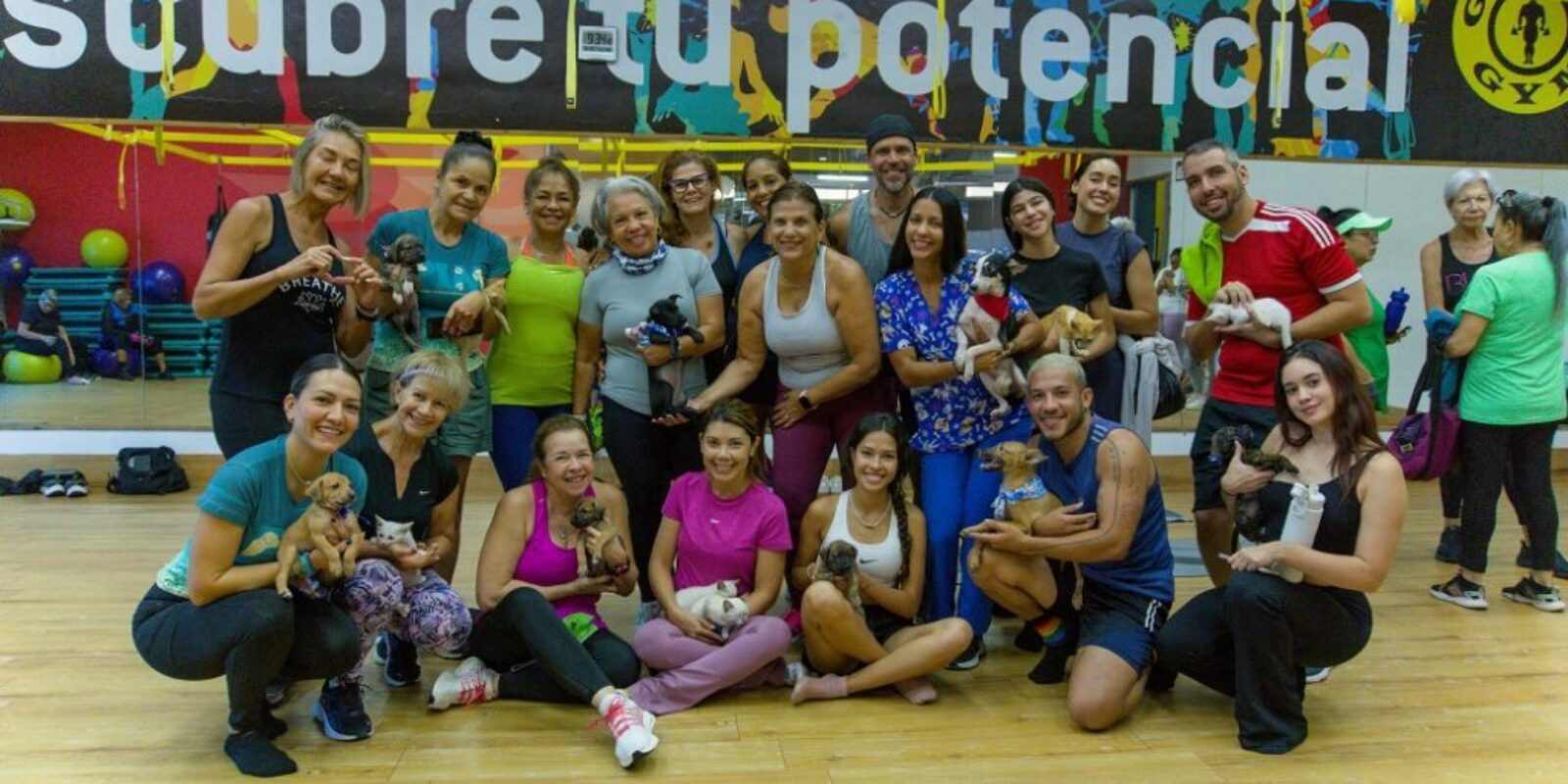 FOTO-Gold´s Gym realizó clase de Puppy Yoga junto con la fundación PIM Margarita
