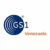 LOGOGS1