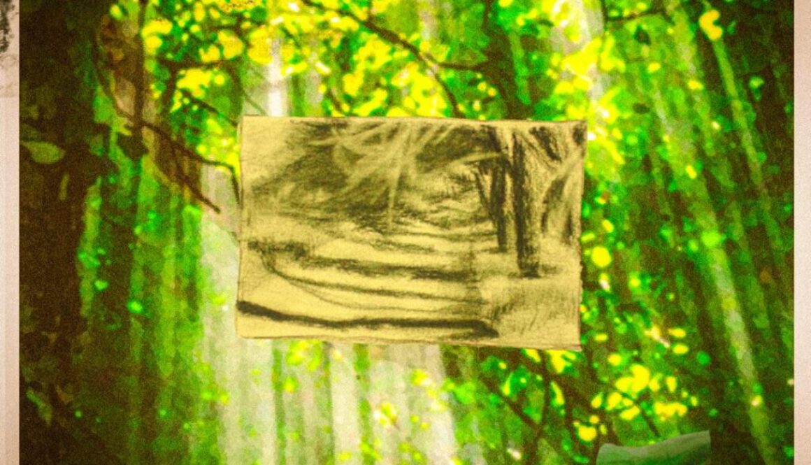 PHOTO-2025-11-11-14-17-01